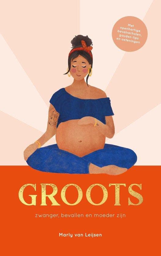 Boek GROOTS 9789090334004, Boeken, Overige Boeken, Zo goed als nieuw, Verzenden