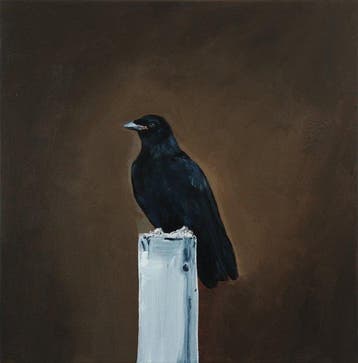 Matthieu van Riel - Crow