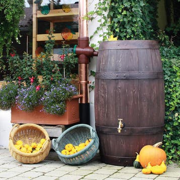 Houtlook regenton 250 liter Petit Bourgondië, Nieuw