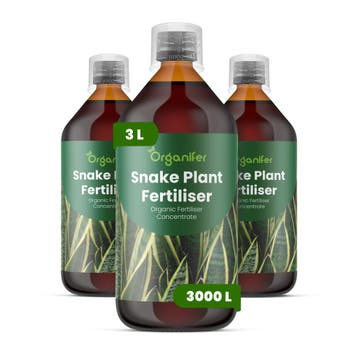Vloeibare meststof voor sansevieria - 3x1 liter, Verzenden, Mest