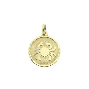Gouden sterrenbeeld hanger; Kreeft (Hanger of bedel), Ophalen of Verzenden, Gebruikt, Goud, Overige merken
