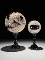 Prachtig paar versteend hout - Gefossiliseerd hout - Spheres