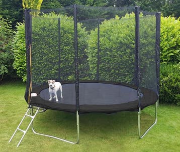 Trampoline 305cm | Inclusief Net & Ladder | Nieuw | Scher..., Kinderen en Baby's, Speelgoed | Buiten | Trampolines, Ophalen of Verzenden