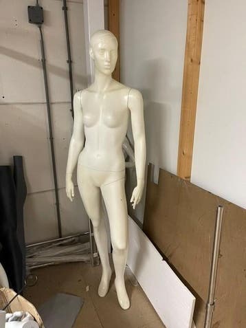 dames etalage pop € 25,00, Verzenden