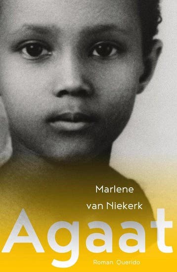 9789021421209 Agaat | Tweedehands, Verzenden, Zo goed als nieuw, Marlene van Niekerk