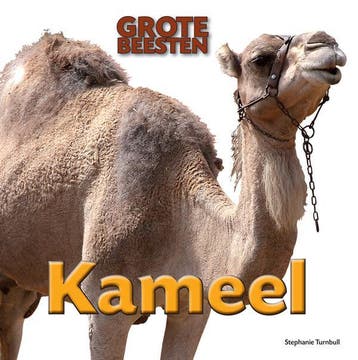 Kameel / Grote Beesten 9789461752543 Stephanie Turnbull, Verzenden, Gelezen, Stephanie Turnbull