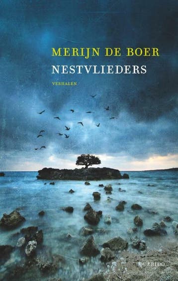 Nestvlieders - Merijn de Boer 9789021406688, Verzenden, Gelezen, Merijn de Boer