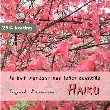 In het vierkant van ieder ogenblik - Ingrid Lenaerts, Verzenden, Zo goed als nieuw, Ingrid Lenaerts