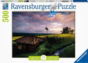 Rijstvelden In Bali Nature Edition, Ophalen of Verzenden, Nieuw