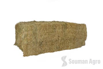 Veldbeemd graszaad hooi, laag in suiker!, Dieren en Toebehoren, Overige soorten