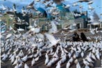 Steve McCurry (1950–) - Mazar-i-Sharif, Afghanistan, 1991