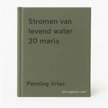 Stromen van levend water 20 maria - Penning Vries, Verzenden, Zo goed als nieuw, Penning Vries