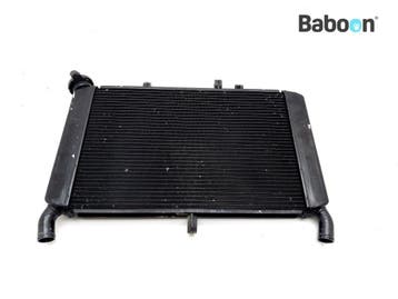 Radiateur Yamaha XSR 900 2019- (RN43P BAE), Motoren, Onderdelen | Yamaha, Verzenden, Gebruikt
