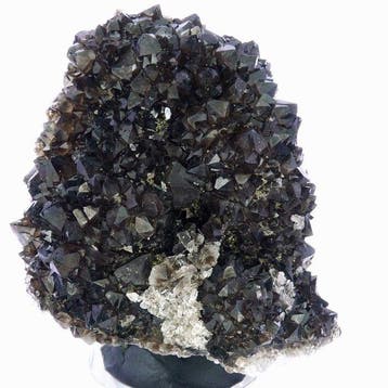 Rookkwarts met micro-pyriet - La Besse-mijn, Corrèze,