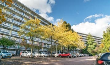 Te Huur 4 Kamer Appartement Zijldonk In Leiden, Direct bij eigenaar, Leiden, Appartement, Zuid-Holland