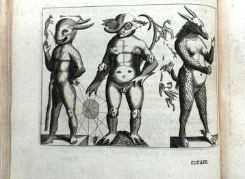 Fortunio LICETI (1577-1657); Blasius, Gerardus Leonardus,