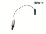Lambda Sonde Buell XB 9 R Firebolt 2002-2003 (XB9 XB9R), Verzenden, Gebruikt