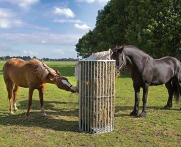 Weide paardenruif voor los hooi, Dieren en Toebehoren, Ophalen of Verzenden, Nieuw