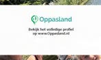 Judith zoekt een oppas in Zeist voor 2 kinderen op dinsda...