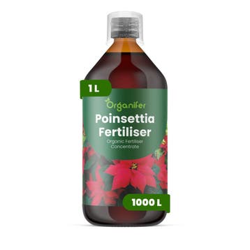 Kerstster Vloeibare meststof - 1 liter, Verzenden, Mest