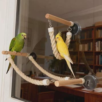 Vogel Speeltouw met Zuignap - Klimtouw, Schommel & Ladder vo