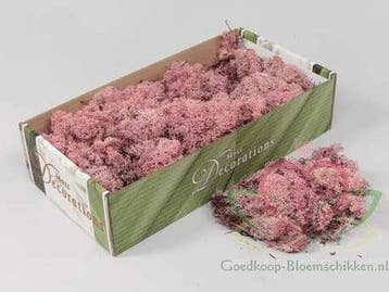 Rendiermos IJslandsmos Finlandsmos Roze 500 gram, Ophalen of Verzenden, Nieuw