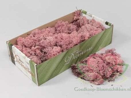 Rendiermos IJslandsmos Finlandsmos Roze 500 gram, Huis en Inrichting, Woonaccessoires | Kunstplanten en Kunstbloemen, Nieuw, Ophalen of Verzenden