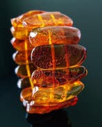 Amber Prachtige vintage grote Baltische amber armband- 40 g