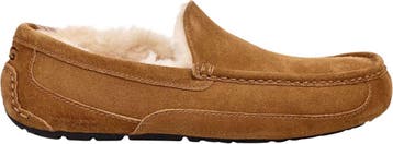 UGG - maat 42- Ascot Heren Sloffen - Chestnut, Verzenden, Nieuw