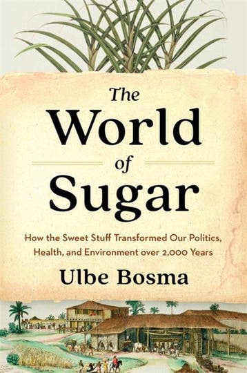 9780674279391 The World of Sugar Ulbe Bosma, Boeken, Verzenden, Nieuw, Ulbe Bosma