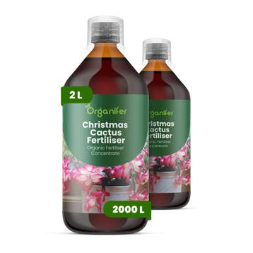 Kerstcactus Vloeibare meststof - 2x1 liter, Verzenden, Mest