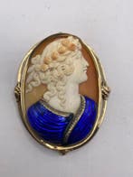 Speld - 14 karaat Geel goud - Cameeau in schelp