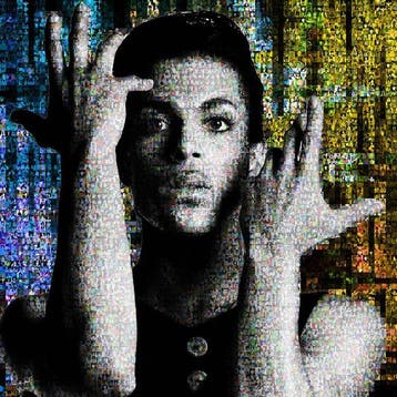 David Law - Crypto Prince 2.0 - Format XL 60x60