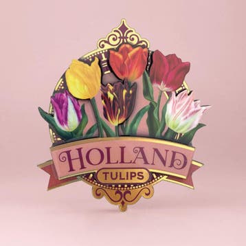 Magneet mdf pretty tulips Holland - Roze, Ophalen of Verzenden, Nieuw
