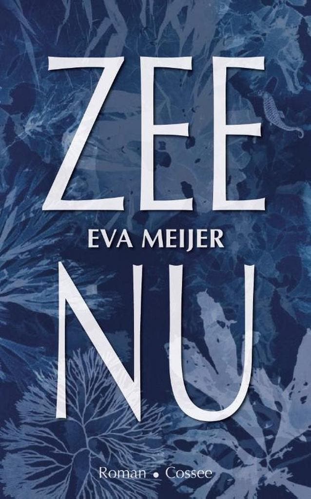 Zee nu 9789464520132 Eva Meijer, Boeken, Literatuur, Zo goed als nieuw, Verzenden