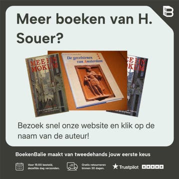 BIJBEL IN STEEN - H. Souer 9789089120083, Verzenden, Zo goed als nieuw, H. Souer