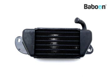 Oliekoeler BMW R 1200 C (R1200C 03) Left (1342207), Verzenden, Gebruikt