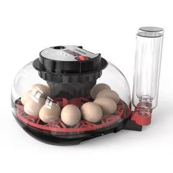 WonEGG Broedmachine M12H (12 eieren), Ophalen of Verzenden, Nieuw, Broedmachine