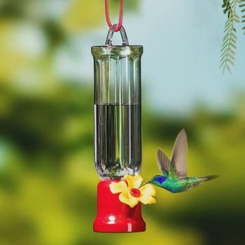 Draagbare Vogel Drinkfles met Ophangdraad - Transparant Plas