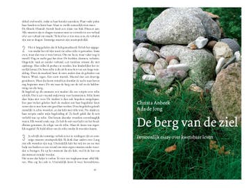 De berg van de ziel 9789025902834, Zo goed als nieuw