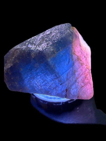 Saffier Museumkwaliteit! Prachtige koningsblauw/roze