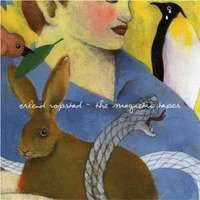 cd - Erlend Ropstad - The Magnetic Tapes, Verzenden, Zo goed als nieuw
