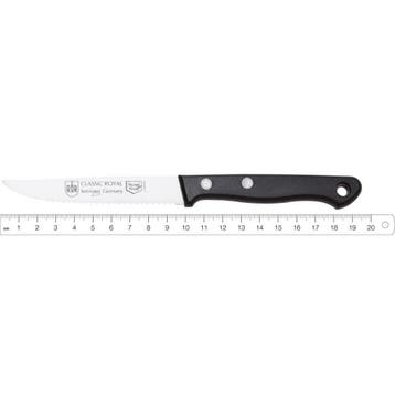 RÖR Solingen Steakmes – RVS – Lemmet 9,5 cm – Heft Ku, Ophalen of Verzenden, Nieuw, Rvs of Chroom, Los bestek