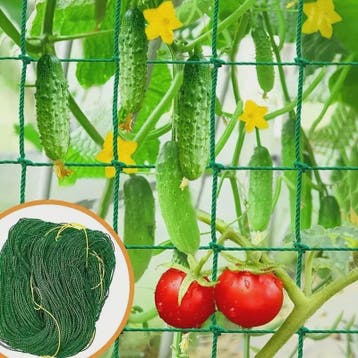 Stevig Klimnet voor Planten & Pergola's - Polyester Tuinnet, Tuin en Terras, Verzenden, Nieuw
