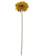Gerbera 53 cm Mosterd OkerGeel Zijden bloemen / st, Ophalen of Verzenden, Nieuw