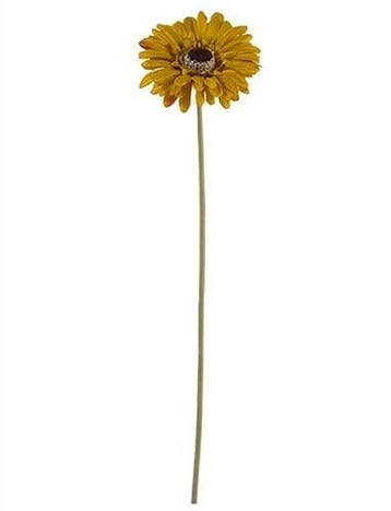 Gerbera 53 cm Mosterd OkerGeel Zijden bloemen / st, Ophalen of Verzenden, Nieuw