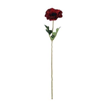Anemoon Rood/Zwart Zijdenbloem 48 cm per stuk, Ophalen of Verzenden, Nieuw