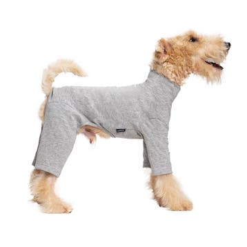 Comfort Jumpsuit voor Honden Grijs (Hondenkleding), Ophalen of Verzenden, Nieuw