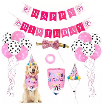 Verjaardags set voor de hond roze pootjes, Ophalen of Verzenden, Nieuw