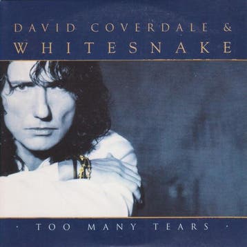 cd card - David Coverdale - amp; Whitesnake â Too Many.., Verzenden, Zo goed als nieuw, Rock en Metal